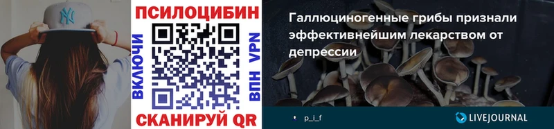 это телеграм Нижнекамск Галлюциногенные грибы MAGIC MUSHROOMS